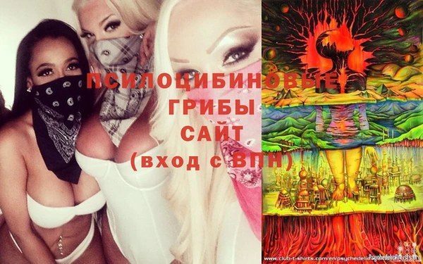 амф Абдулино