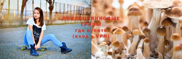 амф Абдулино